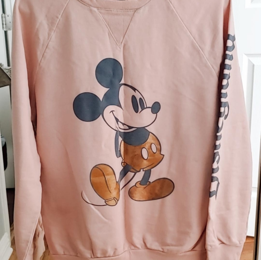 Disney Parks sweatshirt